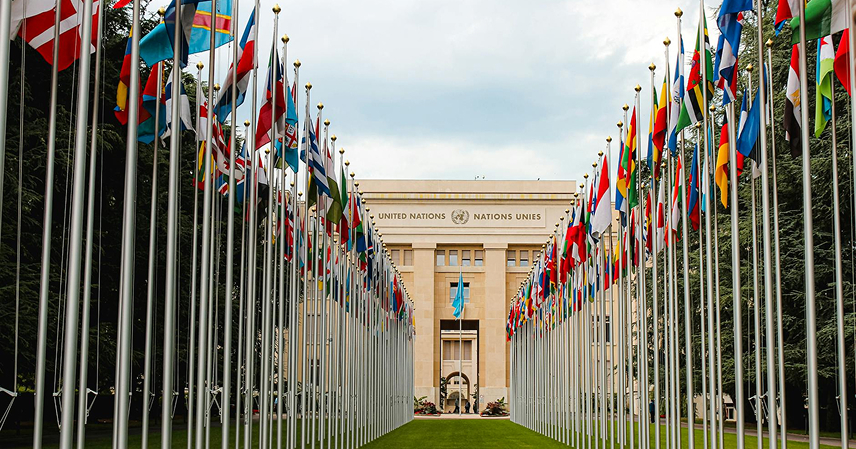 The Role of International Organizations in Crisis Management post 14